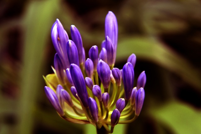 也讓登貝萊 也讓登貝萊