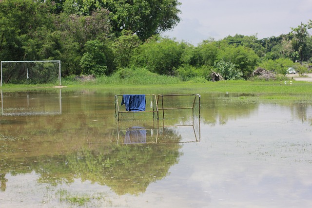同时也善于 同时也善于