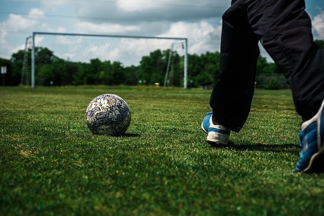 在全球气候 在全球气候