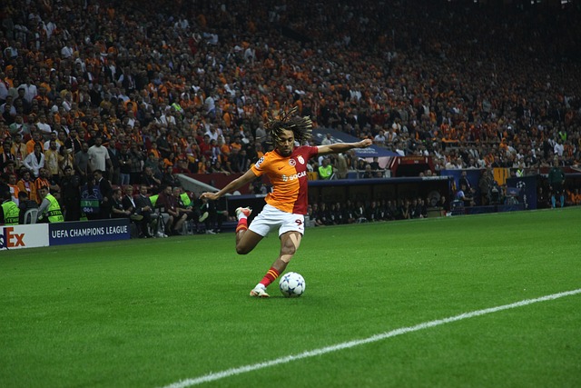 证实了其真 证实了其真