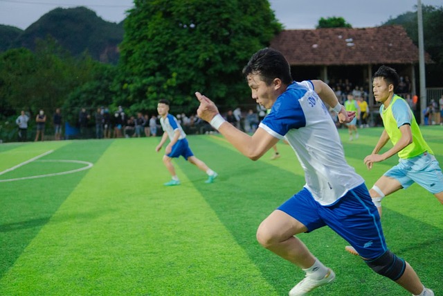 了他的垃圾 了他的垃圾