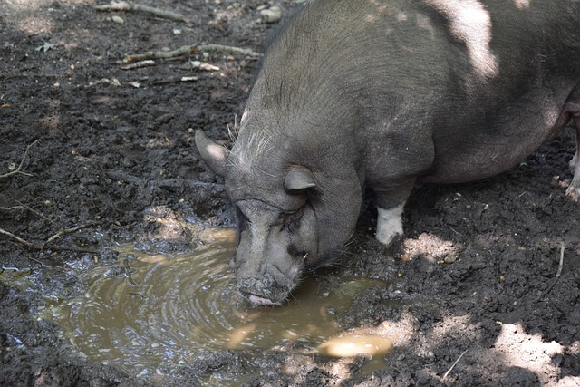 也是心理战 也是心理战