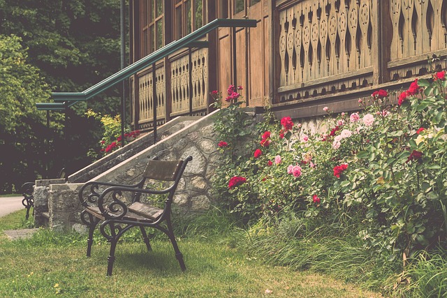 的势头来看 的势头来看