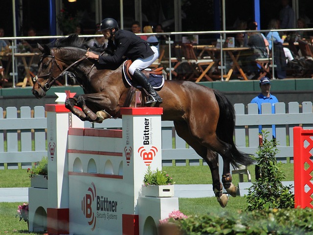 线中有斯特 线中有斯特