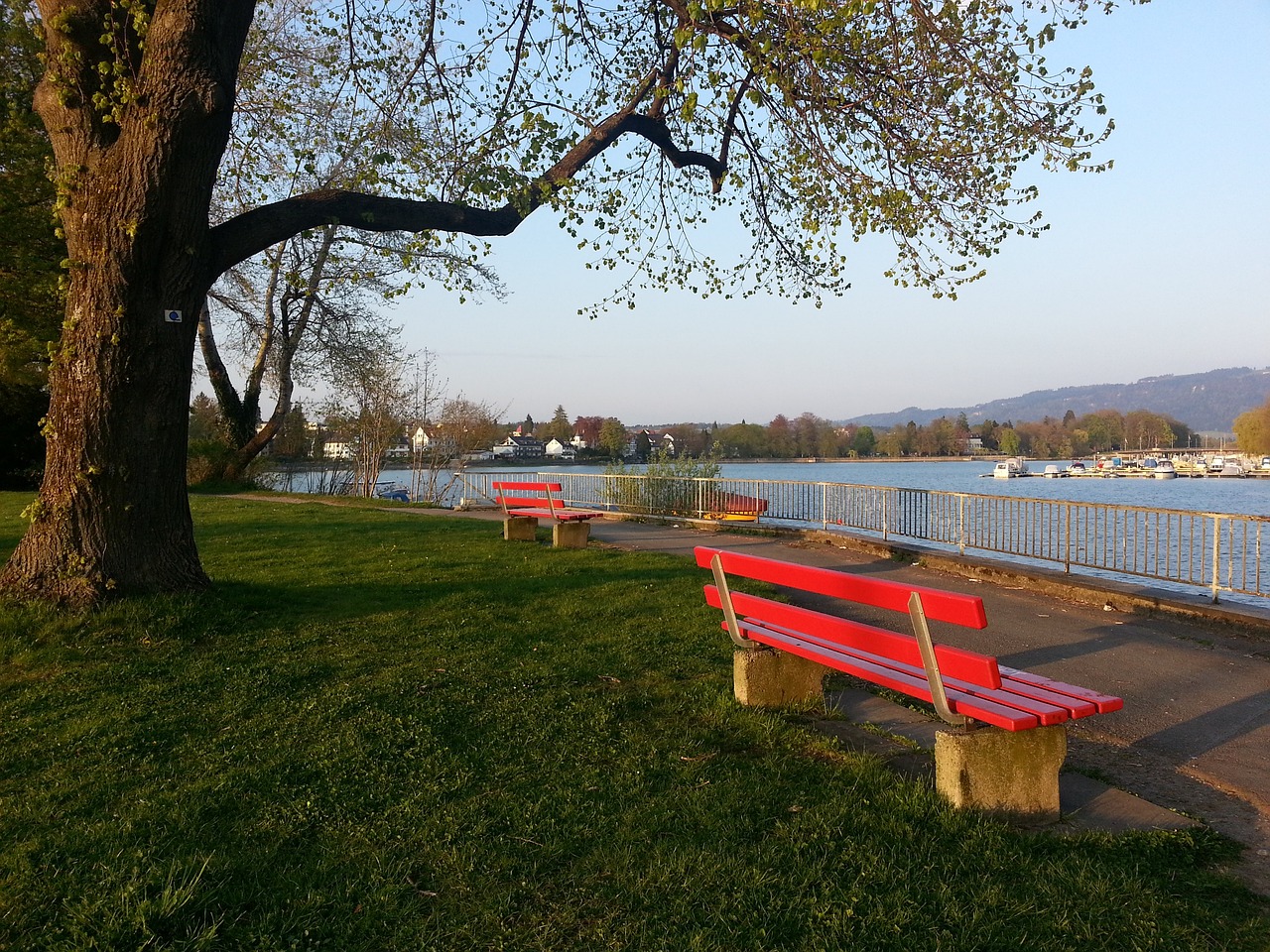 强度的防守 强度的防守