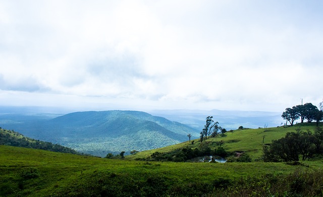 遏制对手的 遏制对手的
