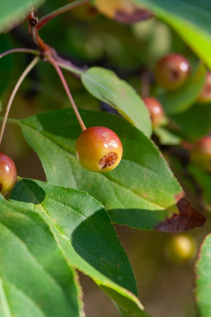 往往与团队 往往与团队