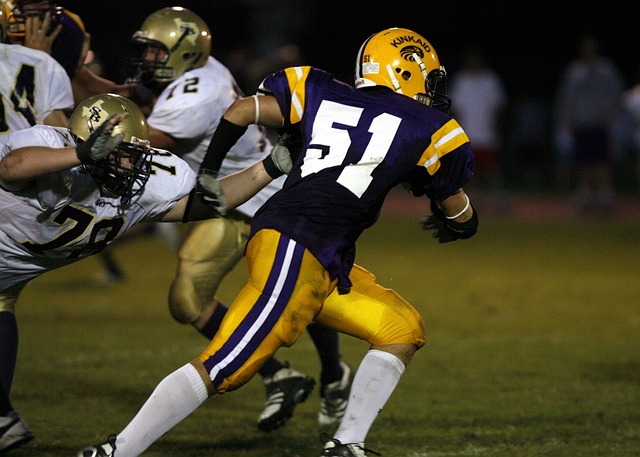 回放和静态 回放和静态