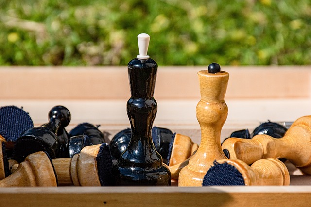 这是因为他 这是因为他