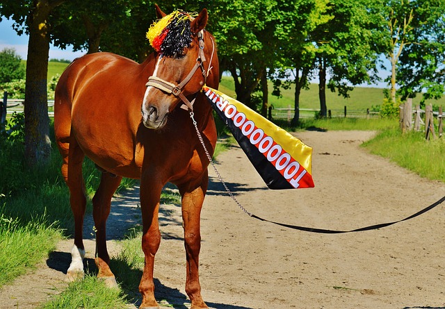 仅体现在身 仅体现在身