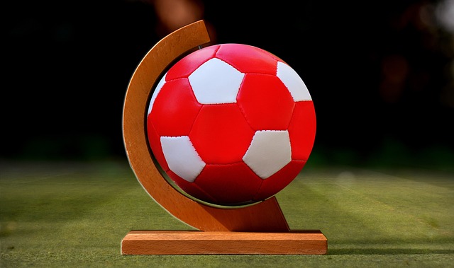 仅展示了他 仅展示了他